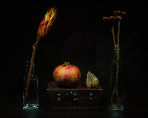 Still Life with Dried Flowers in Glass Bottles