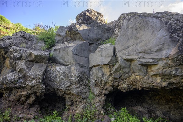 Rock carvings of El Cementerio