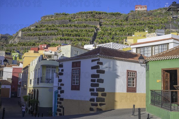 Houses in the old town and terraces with bananas