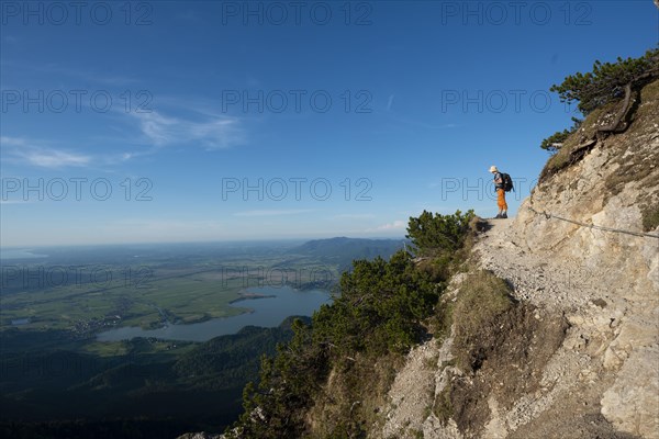 Hiker on hiking trail