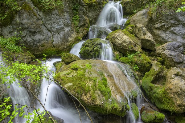 Myra Falls