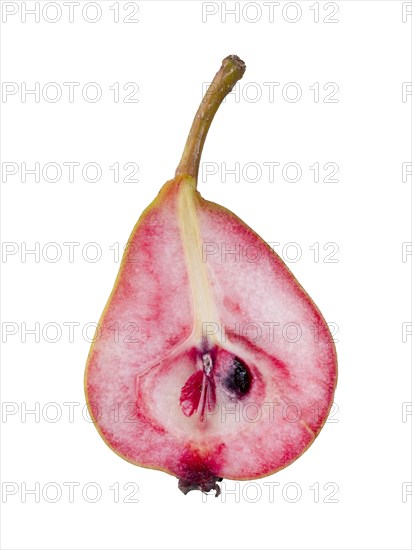 Pear variety Westphalian Blood Pear