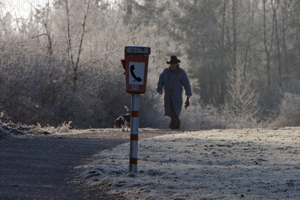 Male walker with dog in park with hoarfrost and emergency phone