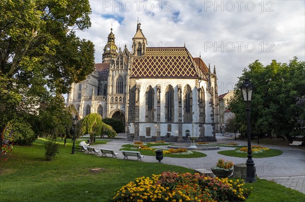 St. Elisabeth's Cathedral and Main Street