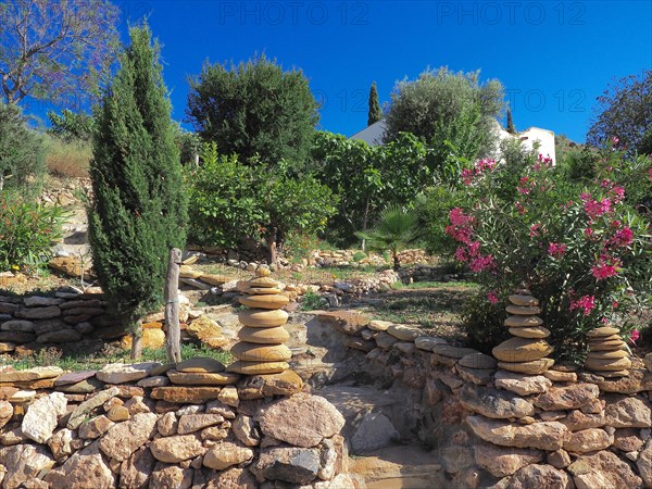 Flowering rock garden with cypress and olive trees
