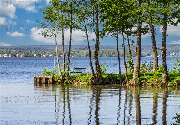 Landscape at Scharmuetzelsee