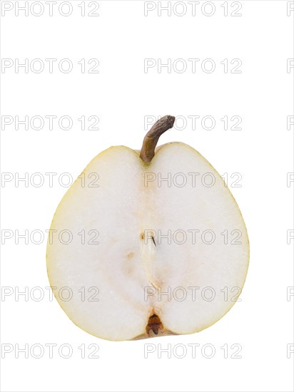 Pear variety Philips pear