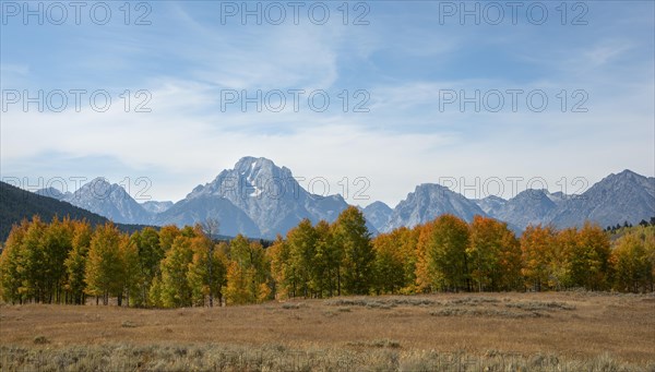 Mountain panorama of the Teton Range