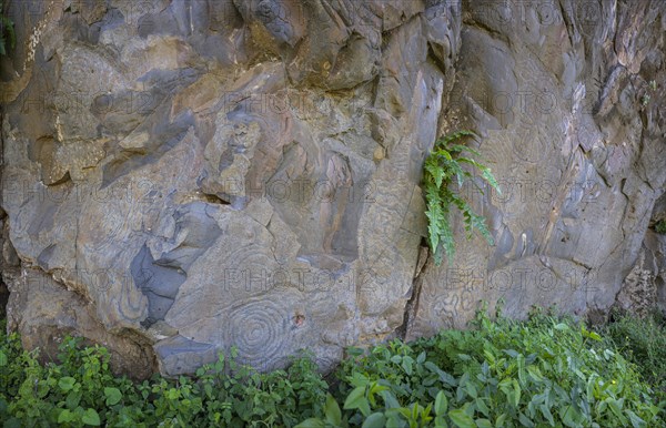 Rock engravings of La Fajana