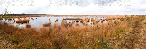 Panorama Stapeler Moor