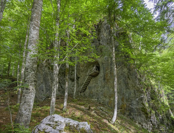 Wooden staircase