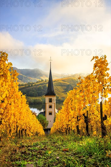 The village of Bremm on the Moselle