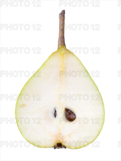 Pear cultivar Gruene Hoyerswerda