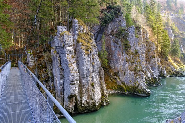 Lower suspension bridge