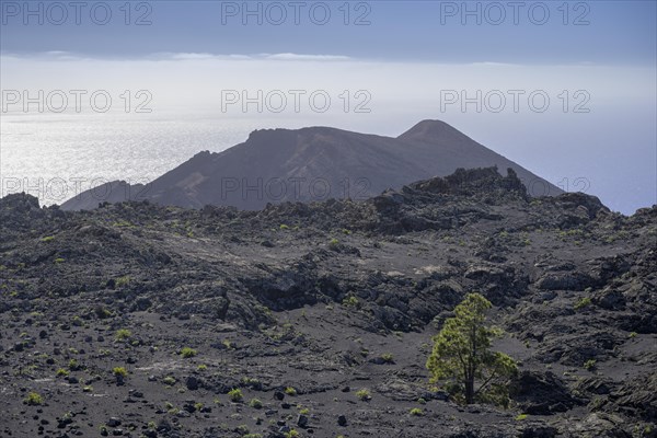 Hike to Teneguia Volcano