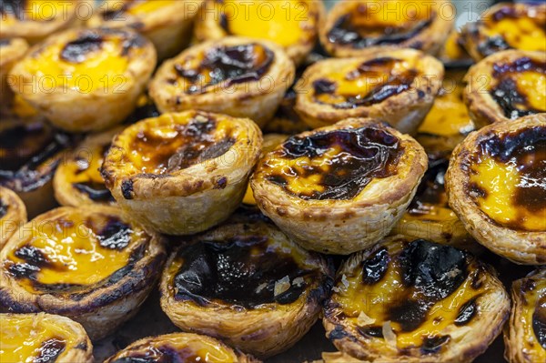 Close-up of many pastel de nata