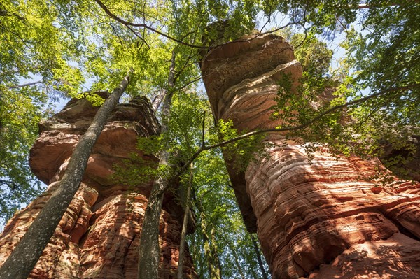 Altschlossfelsen