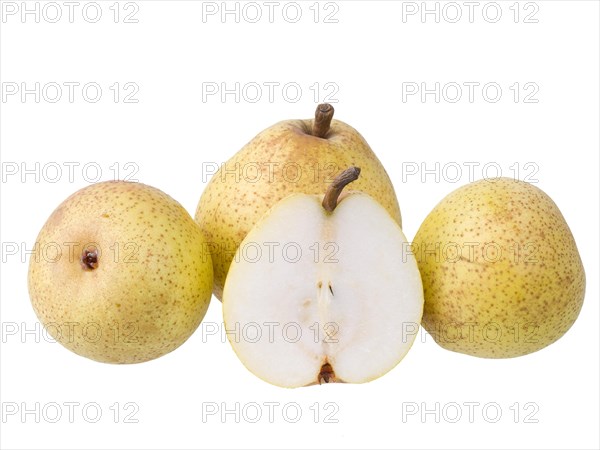 Pear variety Philips pear