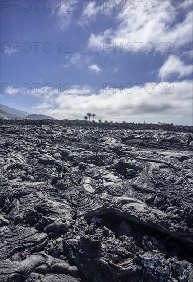 Lava field of the volcano San Juan from 1949 at the Canos de Fuego