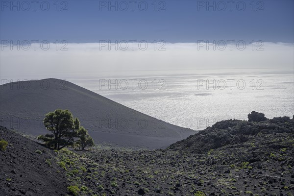 Hike to Teneguia Volcano