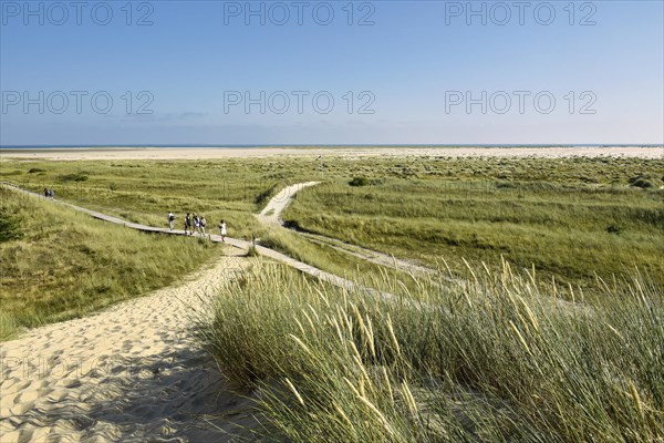 Paths in the dunes near Wittduen