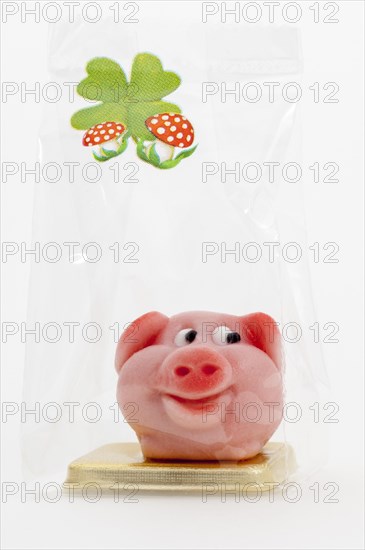 Pink marzipan pig