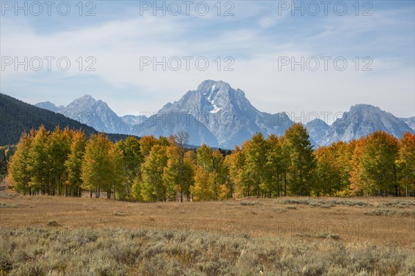 Mountain panorama of the Teton Range