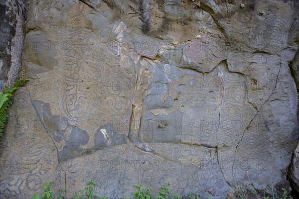 Rock engravings of La Fajana