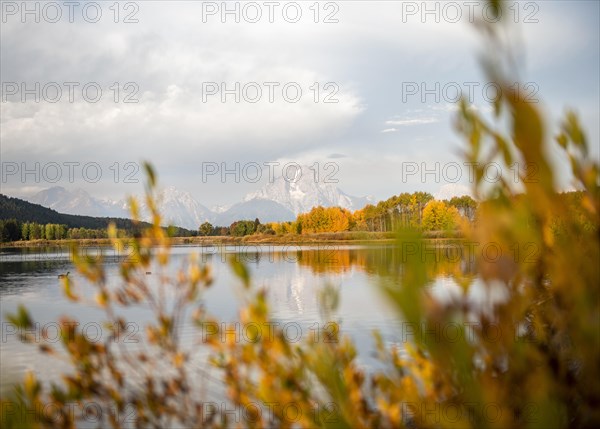 Mount Moran reflected in Snake River