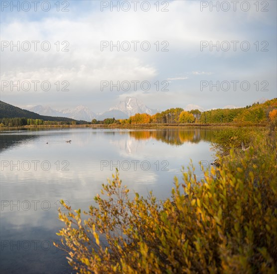 Mount Moran reflected in Snake River