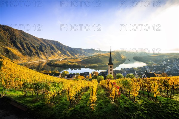 The village of Bremm on the Moselle