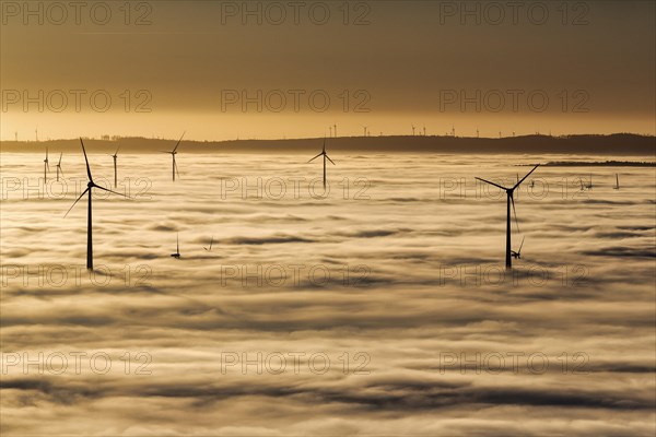 Wind turbines rising from cloud cover