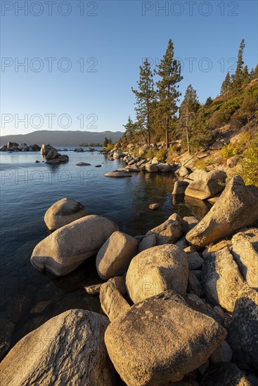 Round stones in the water