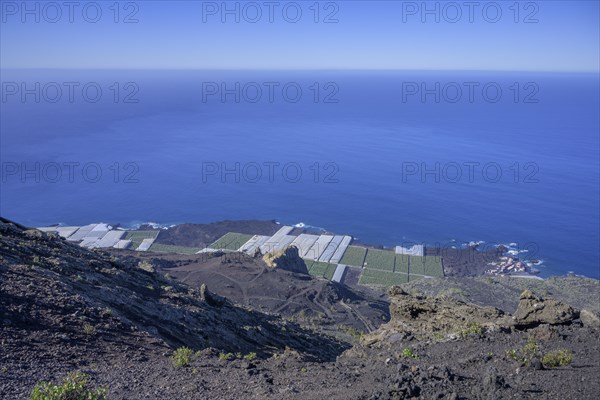 View of banana plantations from the San Antonio volcanic cone