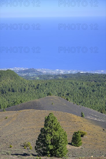 View from Birigoyo Volcano to the airport