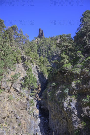 Barranco del Almendro Amargo