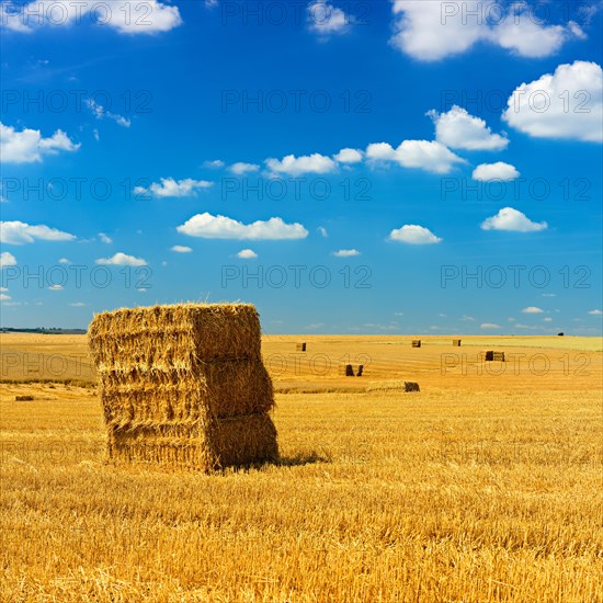 Endless stubble field with straw bales