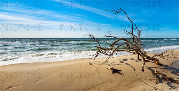 Stormy Baltic Sea in winter