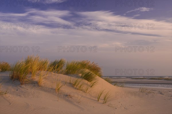 Sunrise in the dunes on the North Sea