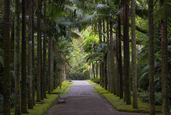 Botanical Garden