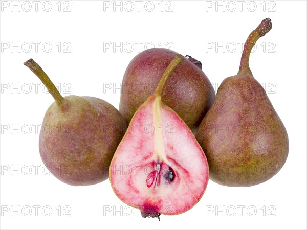 Pear variety Westphalian Blood Pear