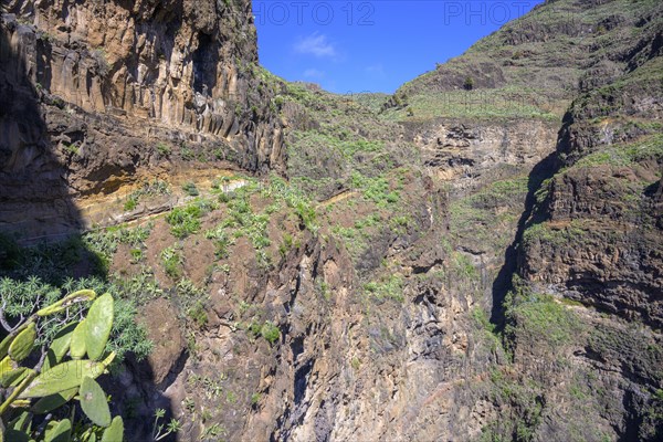 Spectacular trail in Barranco Guarimar