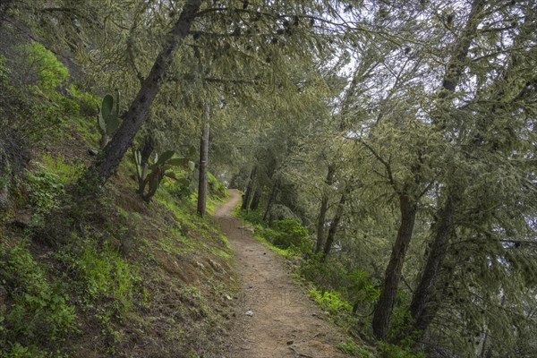 Hike past the Ermita del Santo towards Alojera