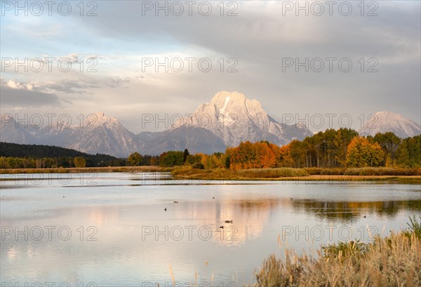 Mount Moran reflected in Snake River