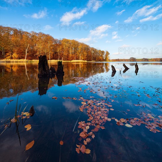 Stiller See in autumn