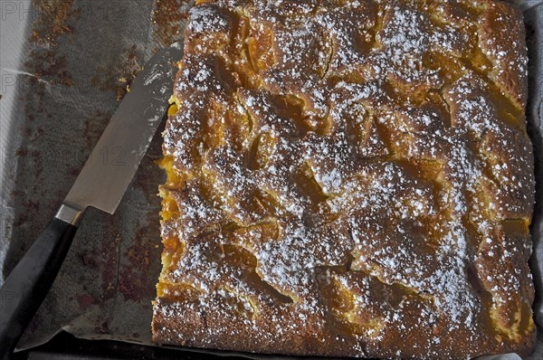 Baked fig cake on baking tray with baking paper and knife