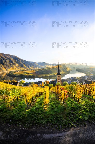 The village of Bremm on the Moselle