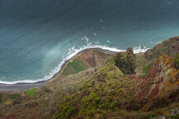 View from Cabo Girao