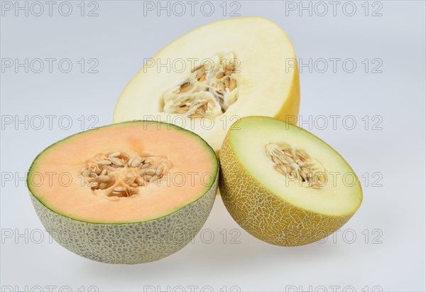 Cantaloupe