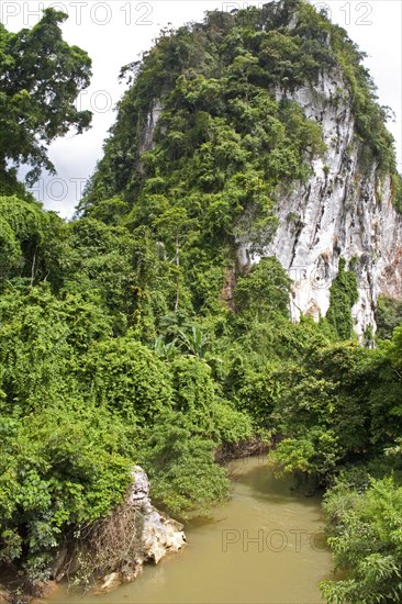 Khao Sok National Park/ Khao Sok National Park